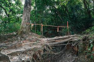 BIB: 
                            <button type="button" onclick="openModal(27806167)" class="btn btn-primary btn-sm float-right btn-popup" data-toggle="modal" data-target=".modal-high-quality">
                        <i class="fas fa-shopping-cart"></i> Add to Cart
                    </button>
                                            <button type="button" onclick="isThisMe(27806167, true)" class="btn btn-success btn-sm float-right btn-popup btn-isme hidden" data-toggle="tooltip" data-placement="bottom" title="นี่คือรูปของคุณใช่ไหม คลิกที่นี่เพื่อเอาเข้าอัลบั้ม">
                        <i class="fas fa-plus"></i> Add to album
                    </button>
                    <button type="button" onclick="isThisMe(27806167, false)" class="btn btn-warning btn-sm float-right btn-popup btn-isnotme hidden">
                        <i class="fas fa-ban"></i> Remove from album
                    </button>